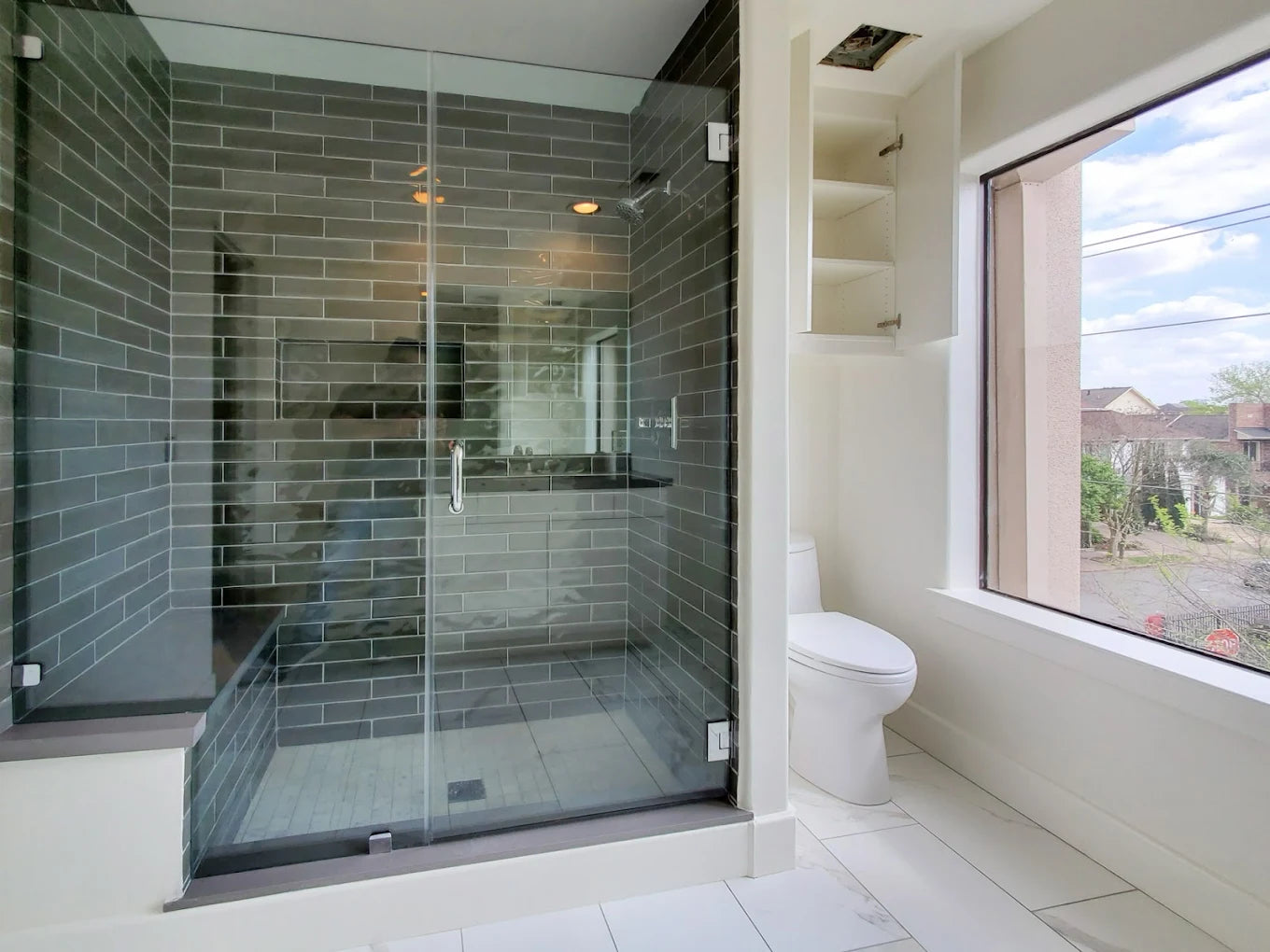 Shower Door and Panel