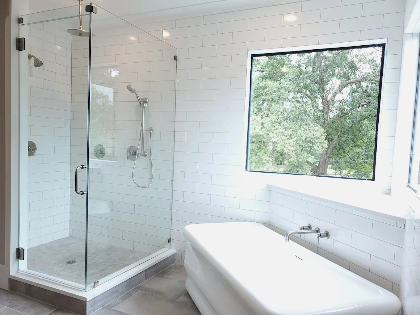 Shower Door and Panel